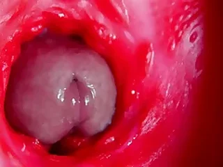 Sex Gay XXX Movies 6